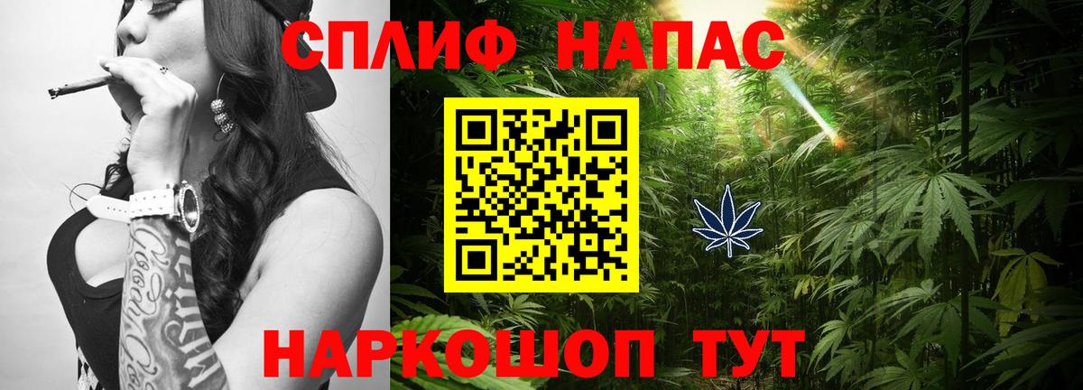 Бошки марихуана планчик  Шишки марихуана Bruce Banner  Можга  Шишки марихуана гибрид  Вход с VPN 